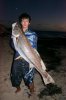 Mulloway for joel